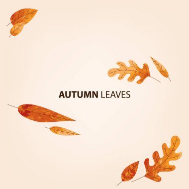 sonbahar yaprakları arka plan