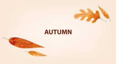 sonbahar yaprakları arka plan