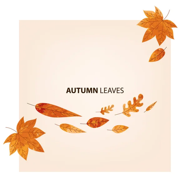 Autumn leaves background — Stock Vector