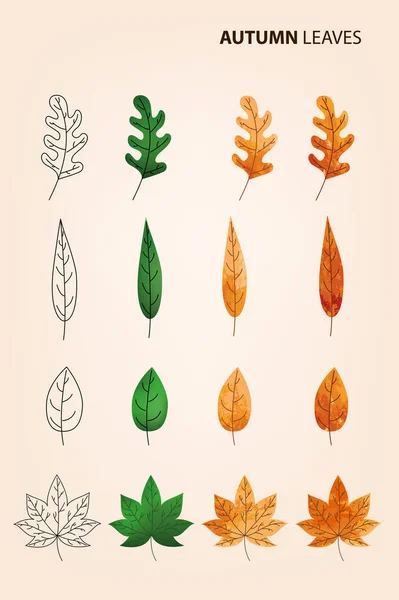 Feuilles d'automne ensemble — Image vectorielle