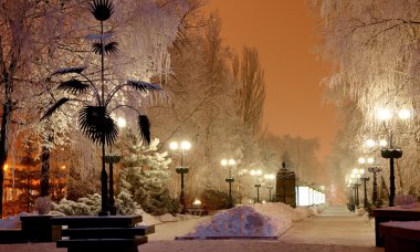 Kış gece manzarası, Şehir Parkı