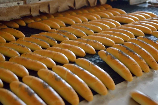 Pan. Panadería. Planta de panadería. Producción de pan. Pan blanco fresco del horno — Foto de Stock