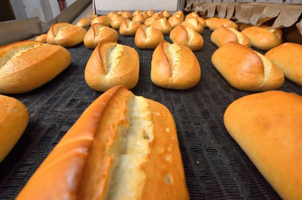 Brot. Bäckerei. Bäckereibetrieb. Brotproduktion. frisches Weißbrot aus dem Ofen — Stockfoto