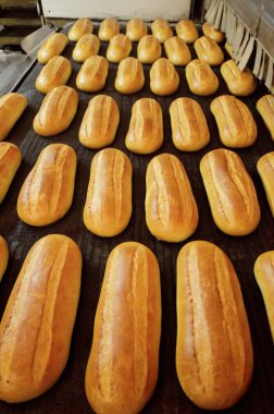 Ekmek. Ekmek. Ekmek fabrikası. Ekmek imalatı. Fırından taze beyaz ekmek