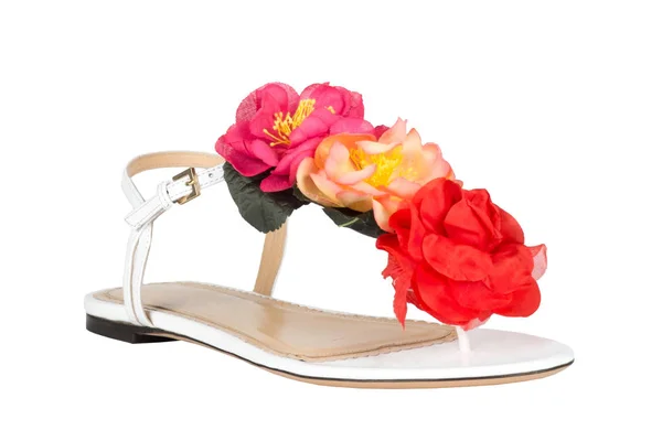 Des chaussures. Chaussures pour femmes sur fond blanc. chaussures haut de gamme. Chaussures de marque italienne — Photo