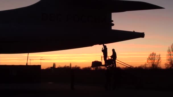 Flight at dawn — Stock Video