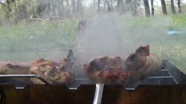doğa üzerinde et pişirilir