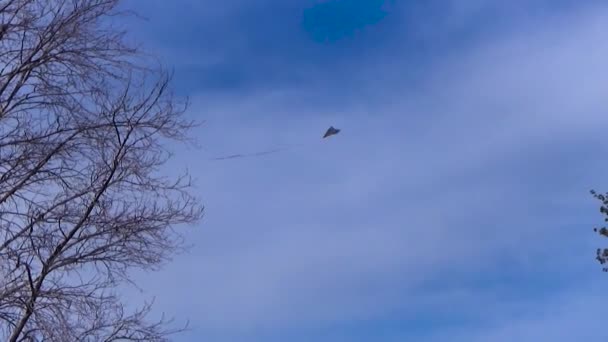 En kite flyger på en bakgrund av moln — Stockvideo