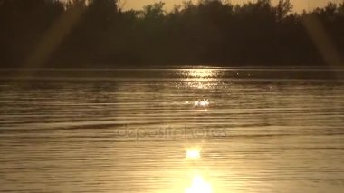Nehri üzerinde tekne yüzen