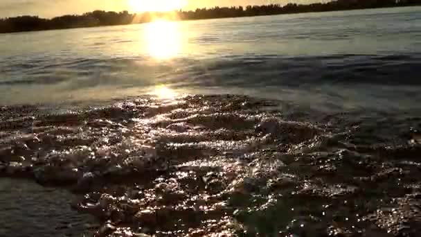 Surfer sur la rivière au soleil — Video
