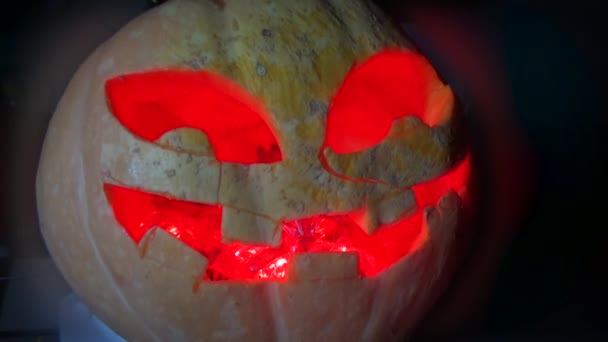 La zucca è immersa nell'oscurità — Video Stock