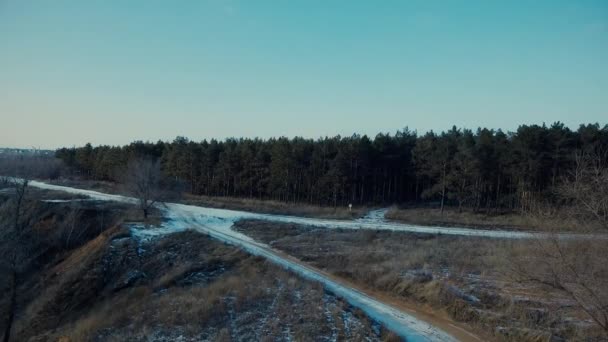 A estrada perto da floresta de coníferas — Vídeo de Stock