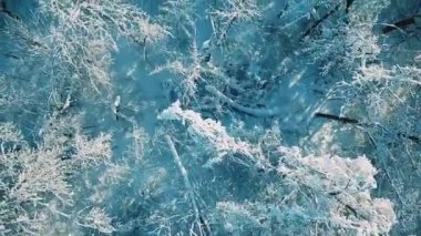 Karla kaplı ormanlar üzerinde