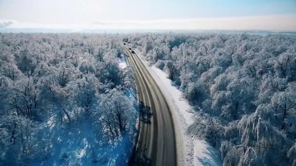 Os carros estão se movendo na floresta nevada — Vídeo de Stock
