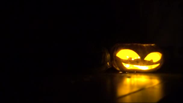 Yanındaki sarı kırmızı kabak — Stok video