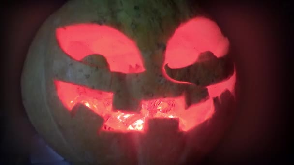 The pumpkin emerges from the darkness — Stock Video