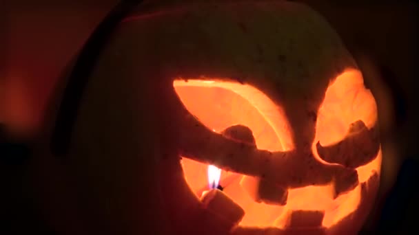 Pumpkin with bats on top — Stock Video