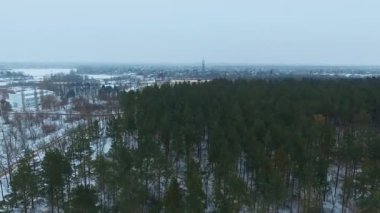 Kış iğne yapraklı orman