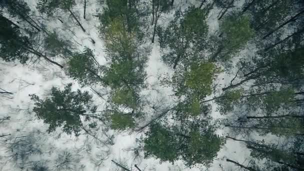 Vinterväg bakom skogen — Stockvideo