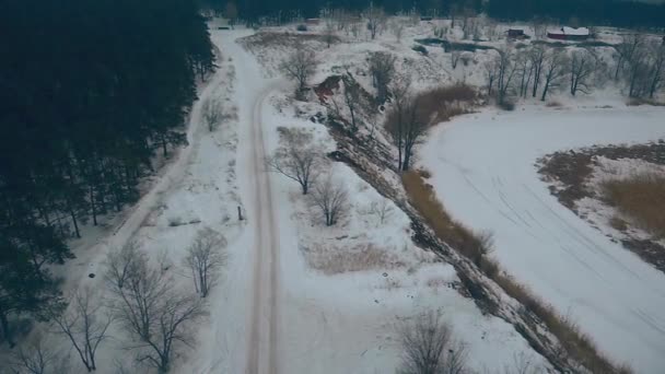 Foresta di conifere vicino al fiume — Video Stock