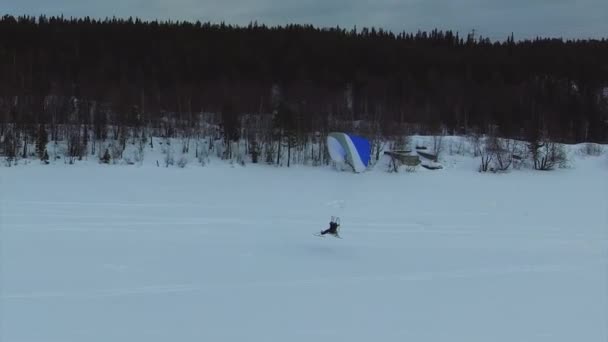 Een aangedreven paraglider op lage hoogte — Stockvideo