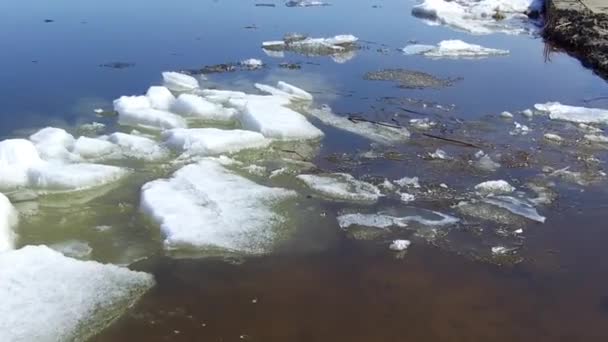 A fehér jégen — Stock videók