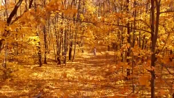 Kvinna med barn promenader i parken — Stockvideo