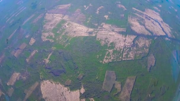 Volando sobre un enorme parque forestal — Vídeo de stock