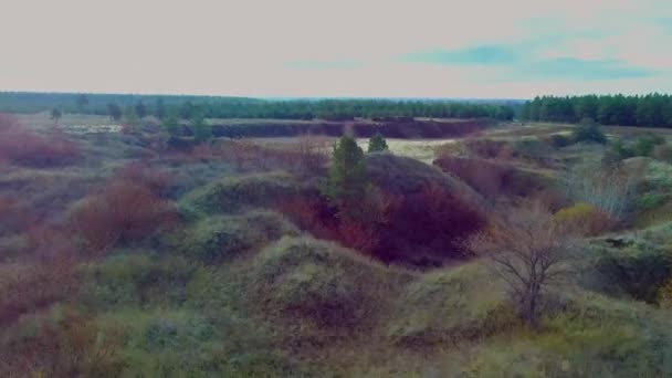 森林边缘的砂石采石场 — 图库视频影像