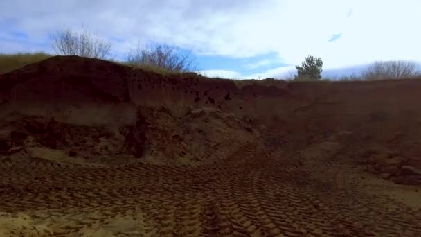 Гнезда ласточек на песчаном берегу — стоковое видео