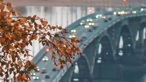 Cars on the bridge through the leaves — Stock Video