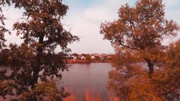 秋天的树木附近河 — 图库视频影像