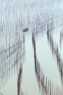 Deniz kenarındaki balıkçılar