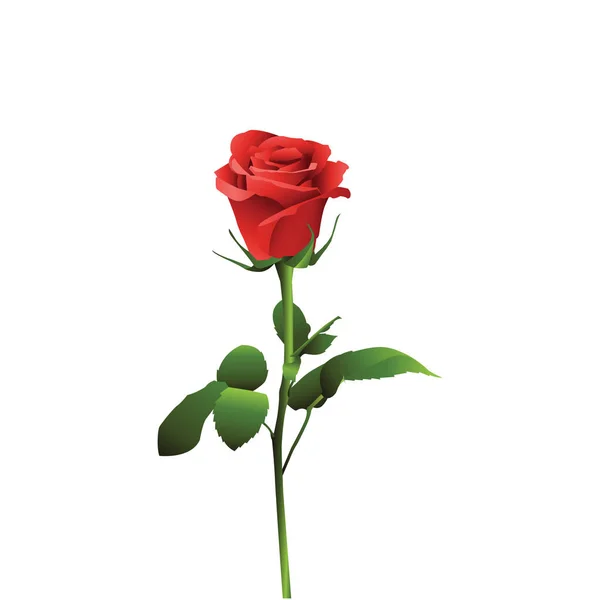 Egy sor illusztrációk a honlap-vektor ikonok virágok. Element 6 vörös rózsa virág bimbó virágoskert ajándék levél szeretet szirom növény szár WebIT. Top — Stock Vector