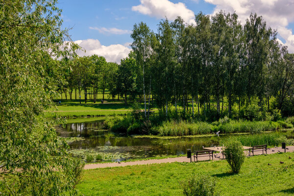 View of the city park in Pskov in the summer