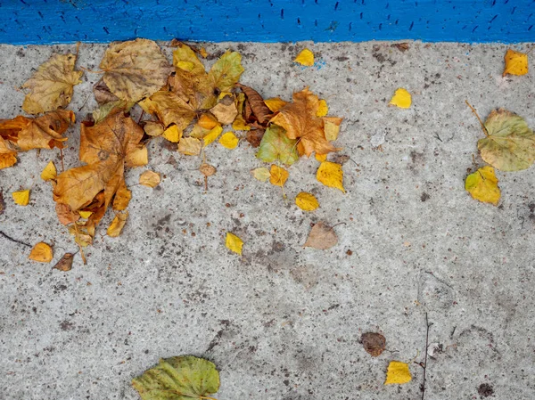 Concrete blind area with the fallen-down autumn leaves — Stock Photo, Image