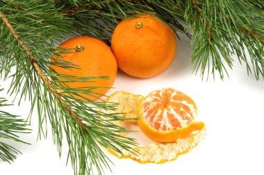 Yeşil Çamın dalları ve mandalina kapat