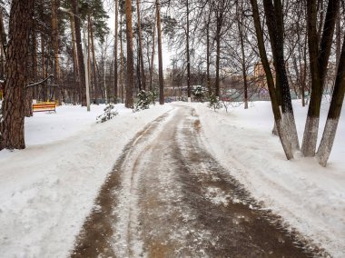 Parkta kar yoldan saf