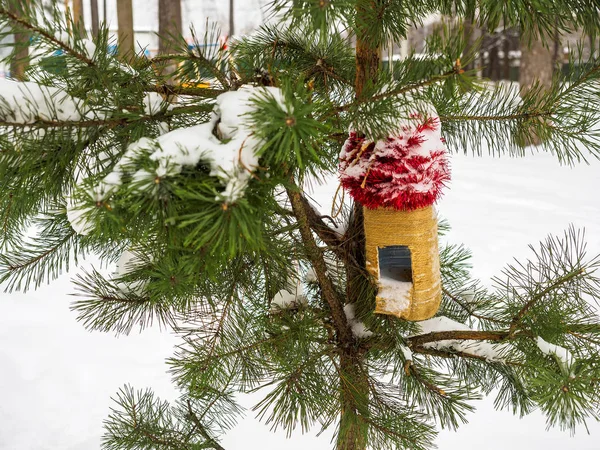 Voederbakken voor vogels op een tak bedekt met sneeuw tijdens — Stockfoto