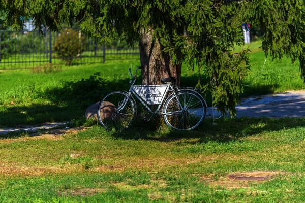 Bicicletta grigia sta sotto un albero — Foto Stock