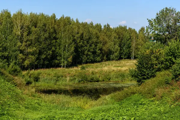 Liten sjö bevuxen med gräs — Stockfoto