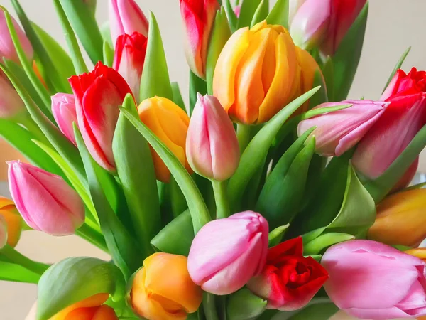 Tulipán. Krásnou kytici tulipánů. — Stock fotografie