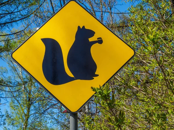 Yellow sign with a picture of squirrels — Stock Photo, Image