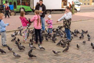 Çocuk bir meydanda Vitebsk üzerinde güvercin beslemek