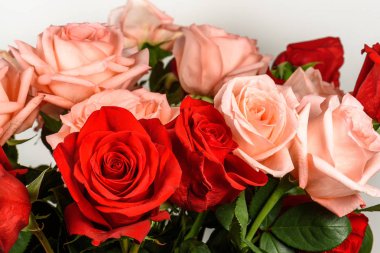 Buket pembe ve kırmızı gül izole, portre