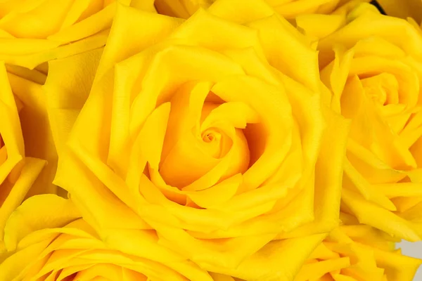 Мбаппе на фоне желтой розы . — стоковое фото