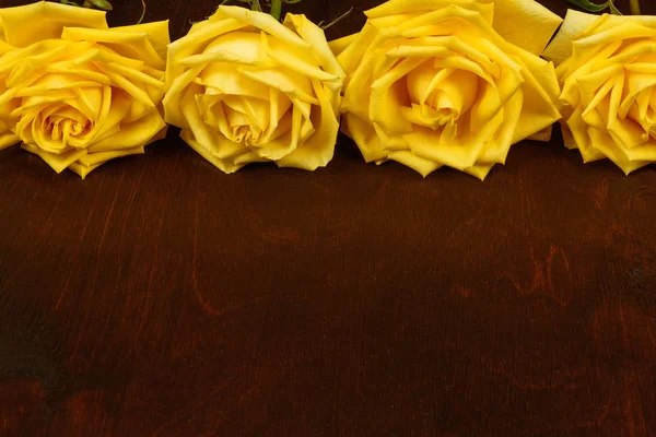 Hermosas rosas amarillas sobre un fondo de madera oscura . — Foto de Stock