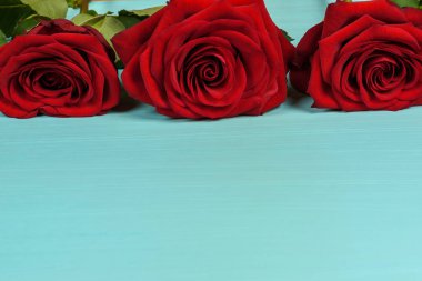 Dekorasyon üzerinde mavi arka plan yakın çekim güzel kırmızı gül