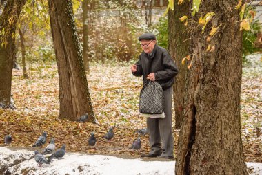 Yaşlı bir adam bir göl kıyısında ördekler sonbaharda beslenir. Rusya, Ramenskoye, Ekim 2017.