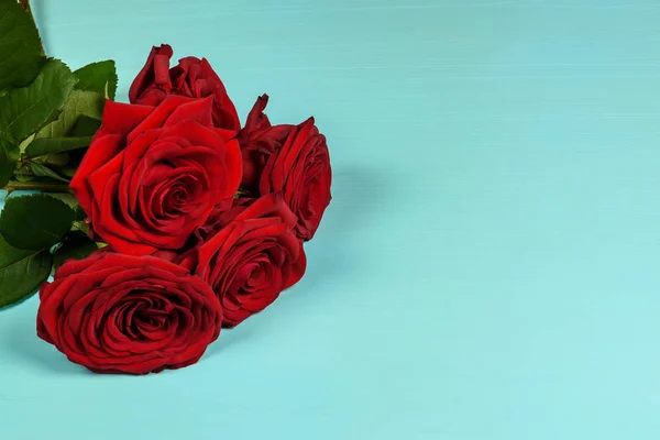 Букет красивых красных роз на синем фоне крупным планом — стоковое фото